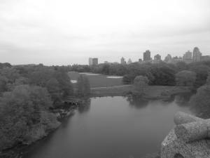 View from Belvedere Castle, Central Park, NYC.